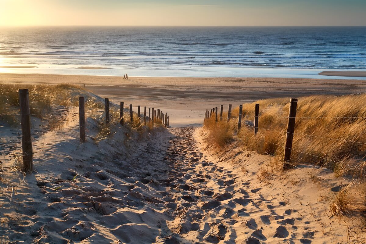 PDGIT4137564: Sentiero tra le dune nella luce serale