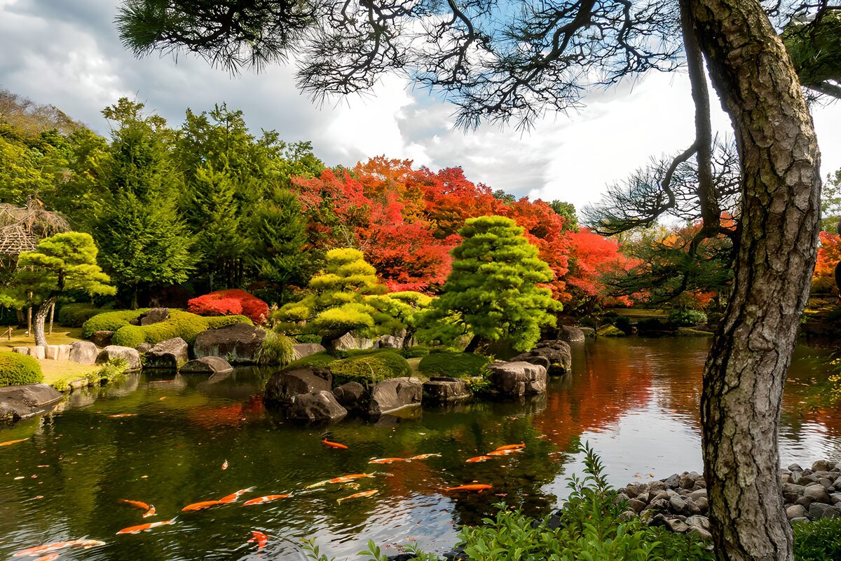 Stagno con koi e foglie d’autunno