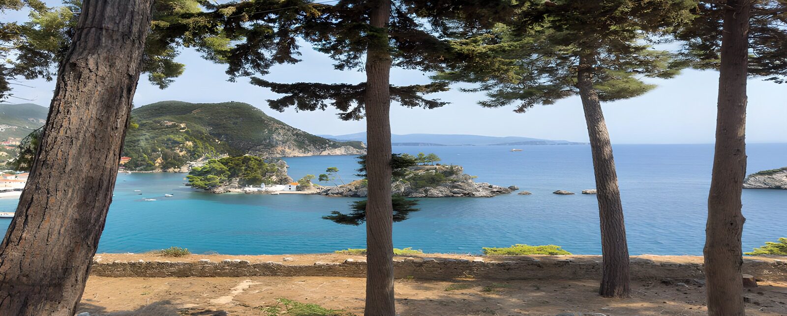 PDGIT2968787: Tra i pini, il mare si fa turchese