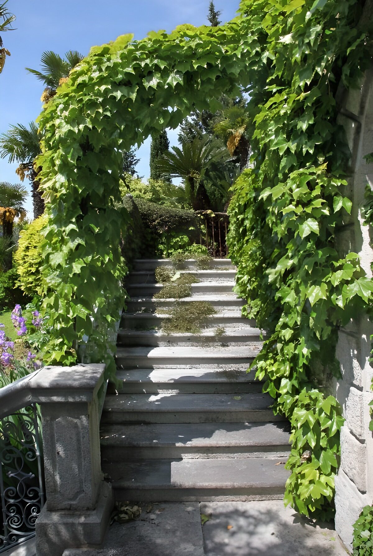 PDGIT8680829: Scala in pietra sotto un arco verde