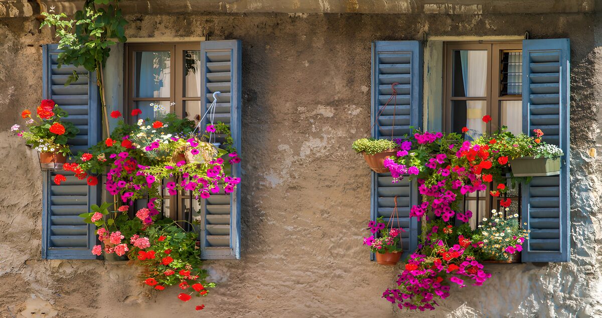 PDGIT6345757: Finestre fiorite con persiane blu