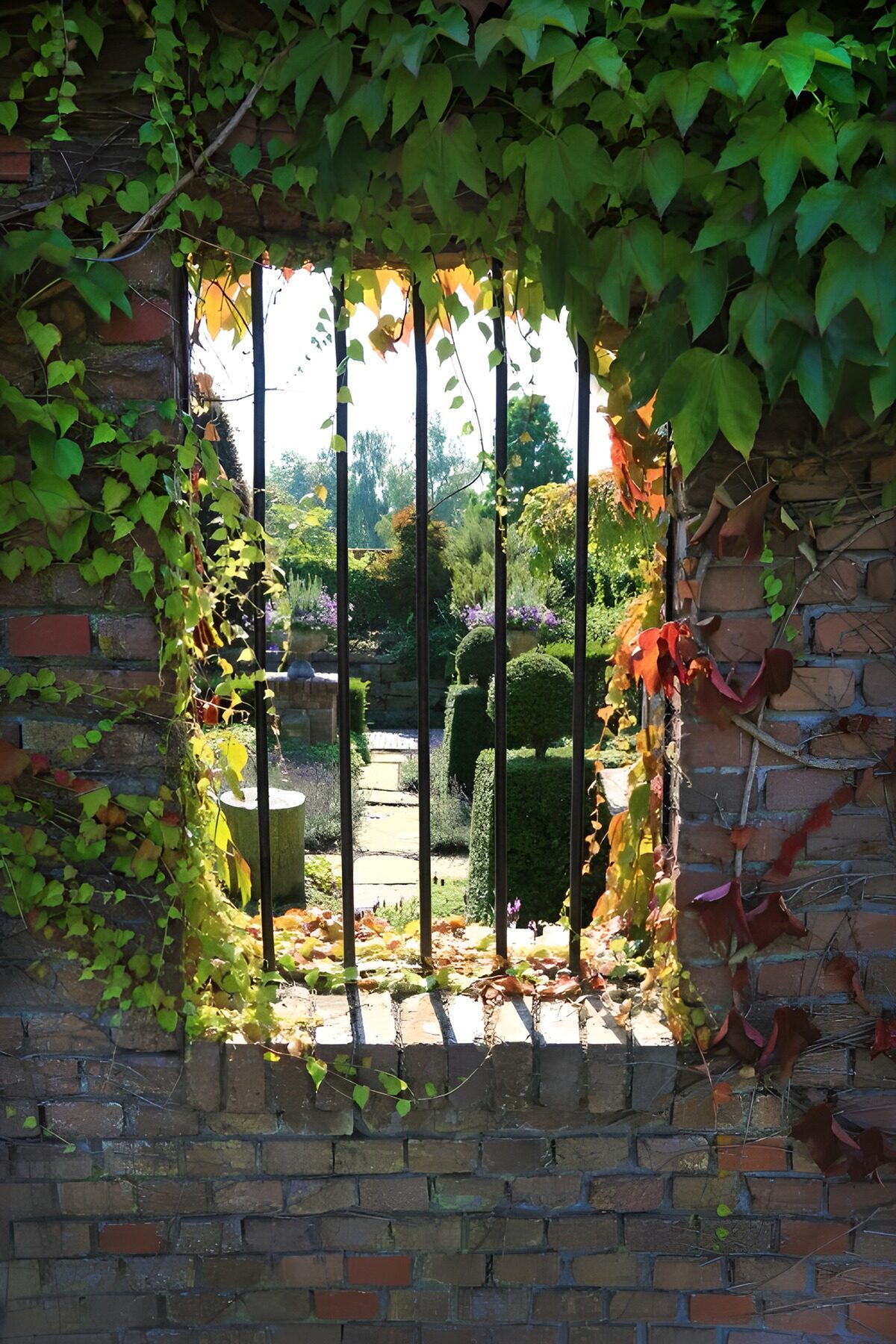 PDGIT9397238: Giardino oltre la finestra di mattoni