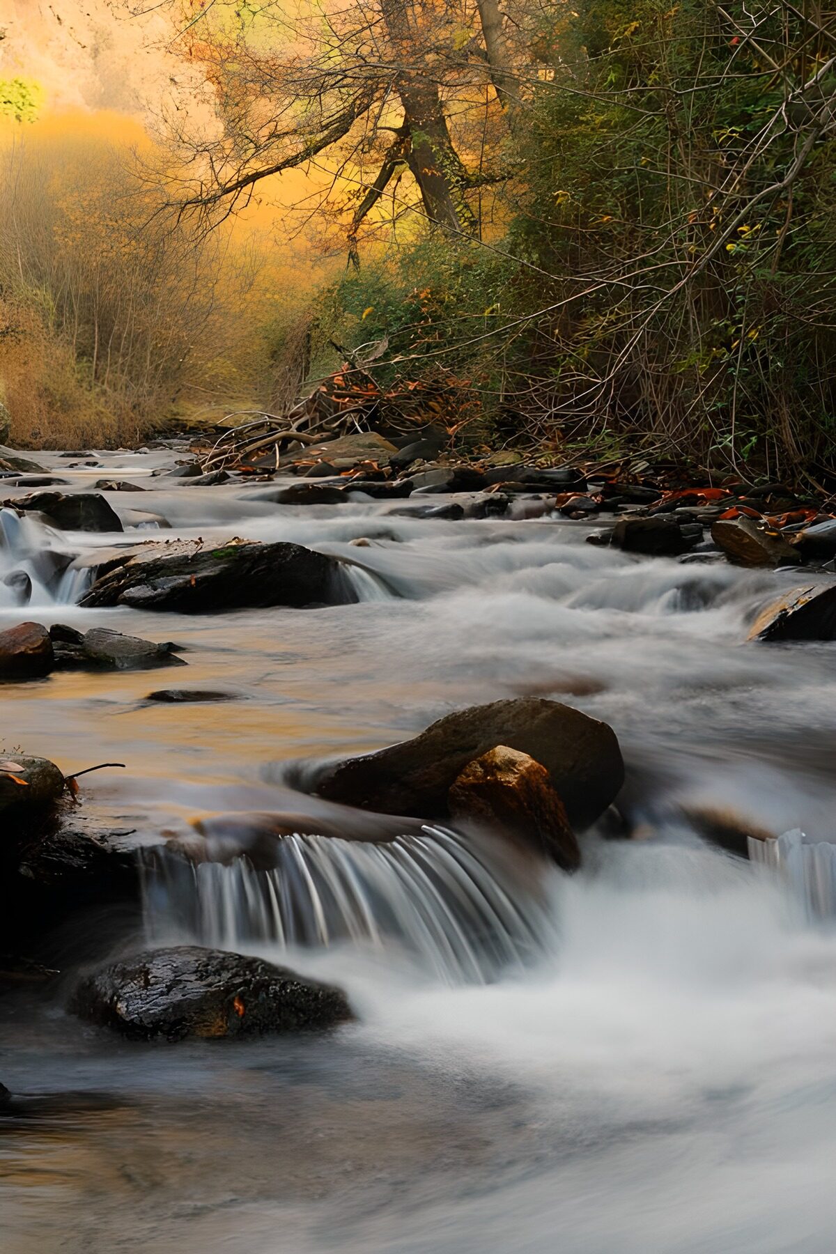PDGIT5358483: Torrente d’autunno tra le rocce