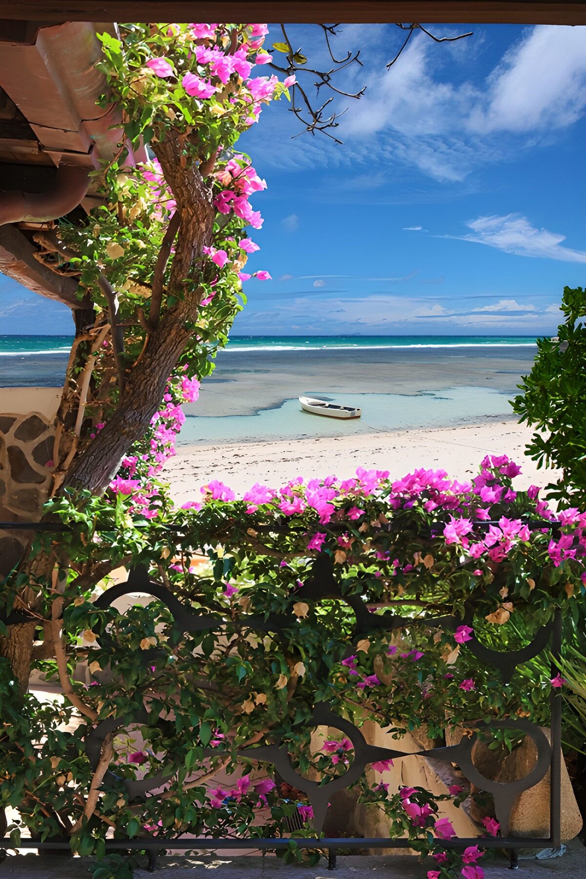 PDGIT3332563: Bouganville rosa sul mare turchese