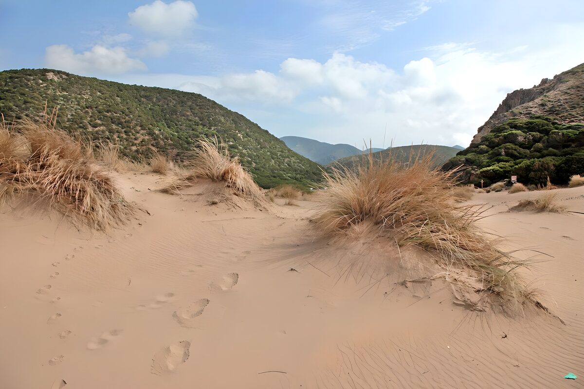 PDGIT6752722: Dune dorate tra erba secca e colline