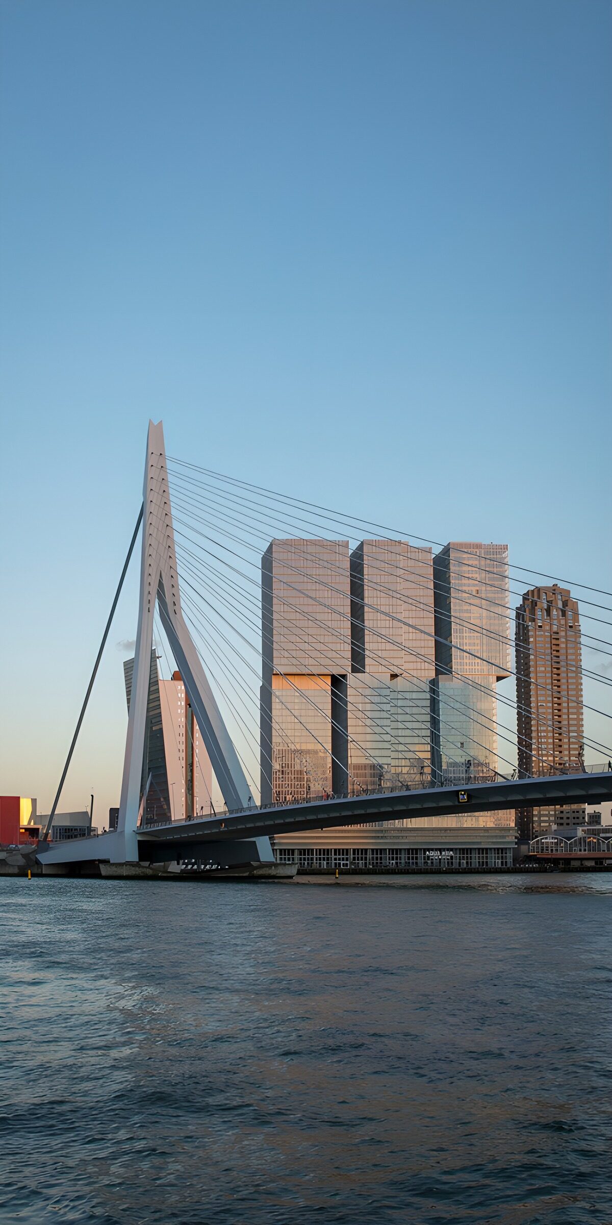 Ponte Erasmus e grattacieli al sole