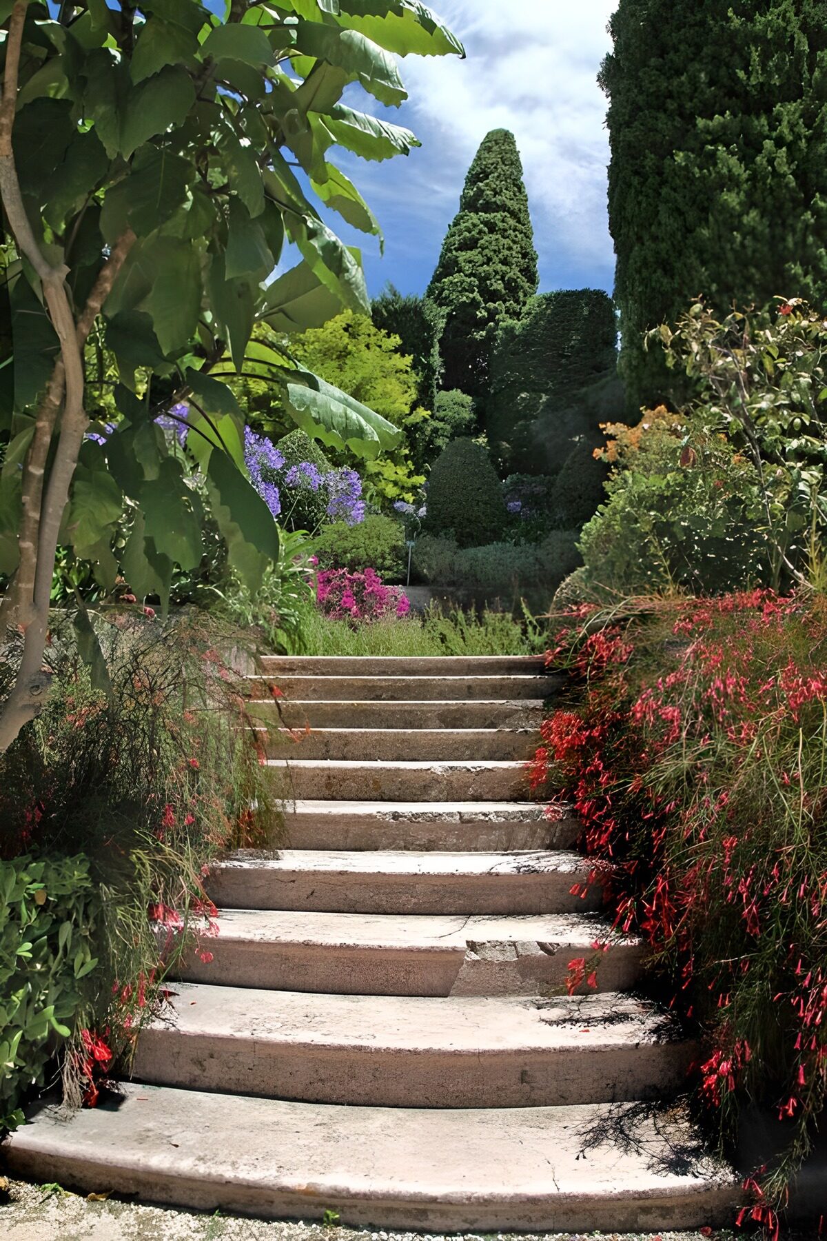 PDGIT7630229: Scala in pietra tra fiori e ombre
