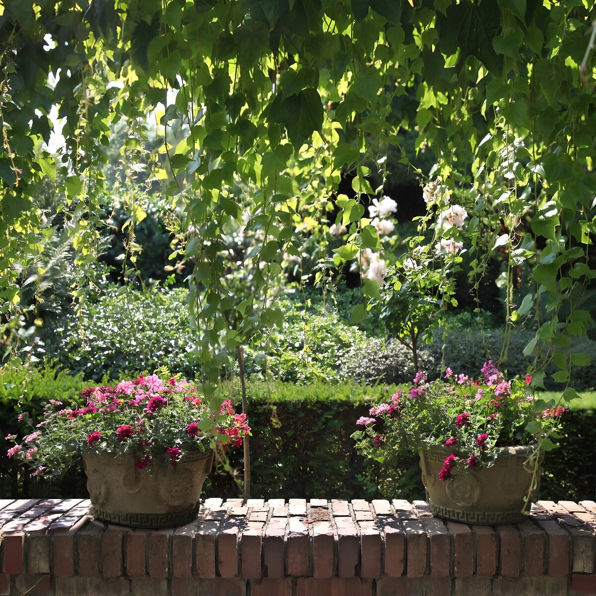 PDGIT3759422: Due vasi fioriti tra sole e ombra