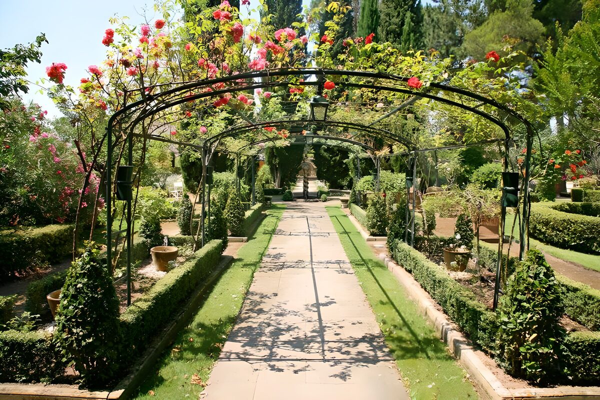 Vialetto al sole sotto gli archi di rose