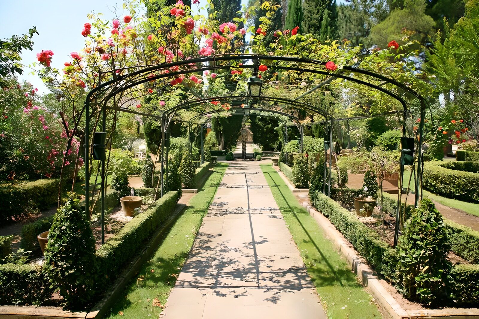 PDGIT8078255: Vialetto al sole sotto gli archi di rose