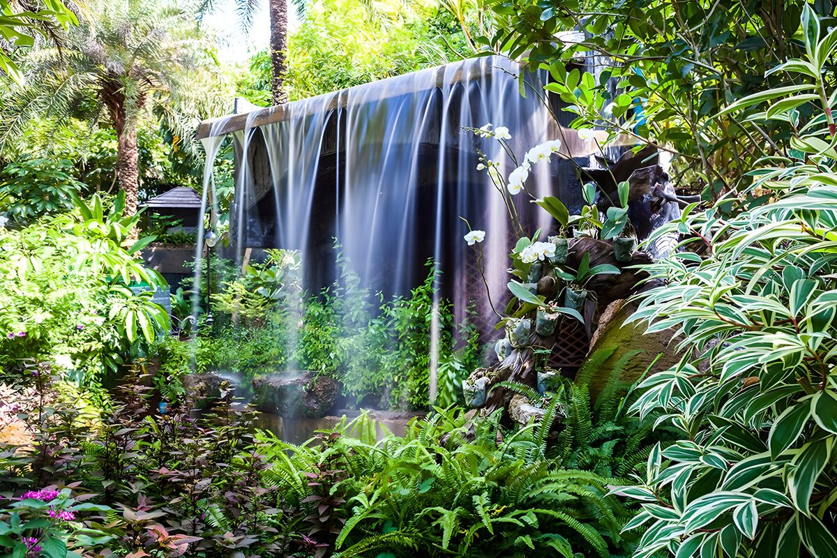 PDGIT9282776: Cascata tra palme e felci tropicali