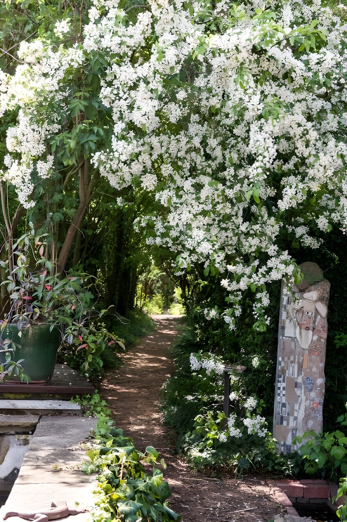 PDGIT5250757: Sentiero tra il verde e i fiori bianchi