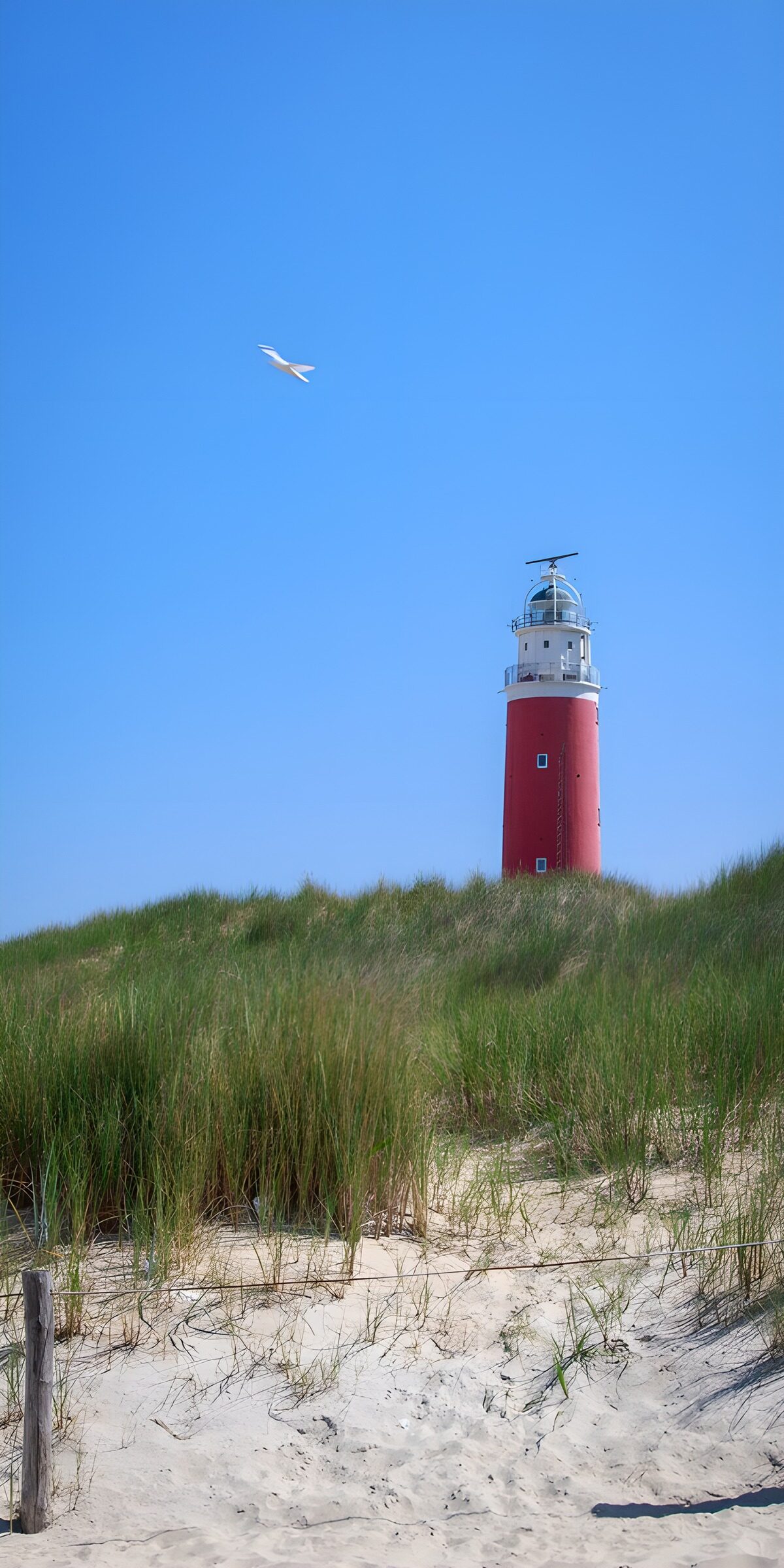 PDGIT3343473: Il faro veglia su un mare di dune