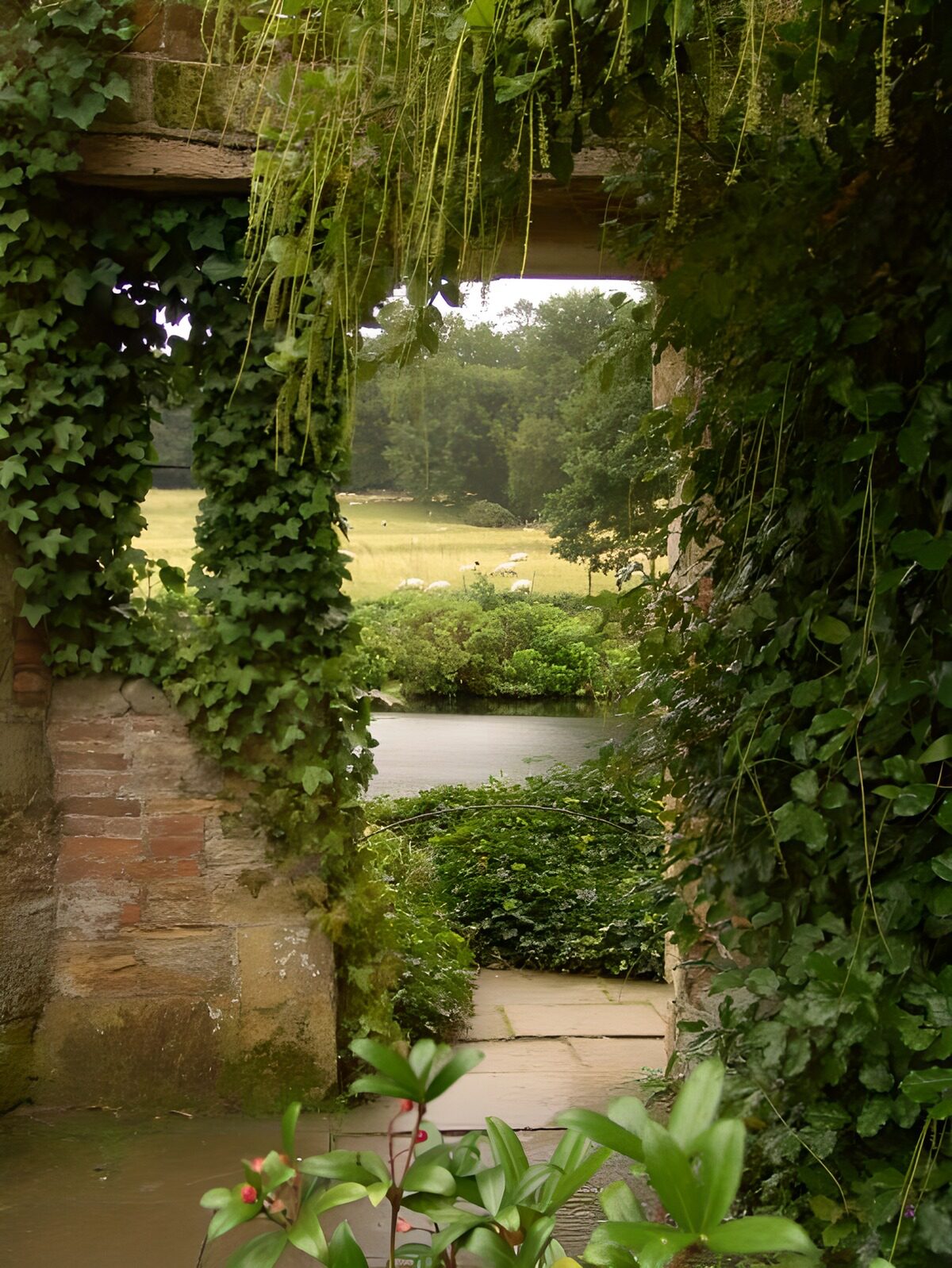PDGIT6654870: Giardino tra edera e vecchi muri