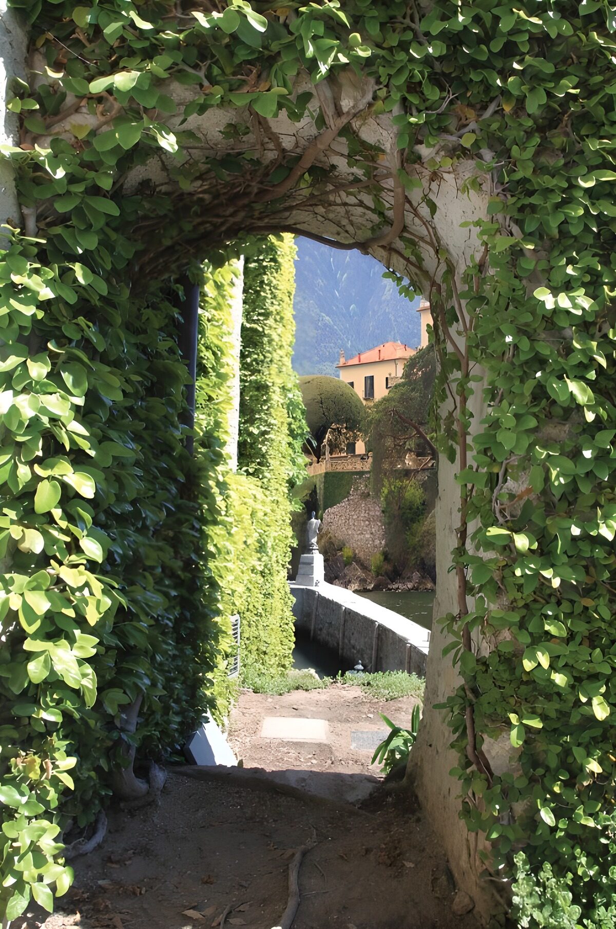 PDGIT3179496: Arco verde su un giardino al sole