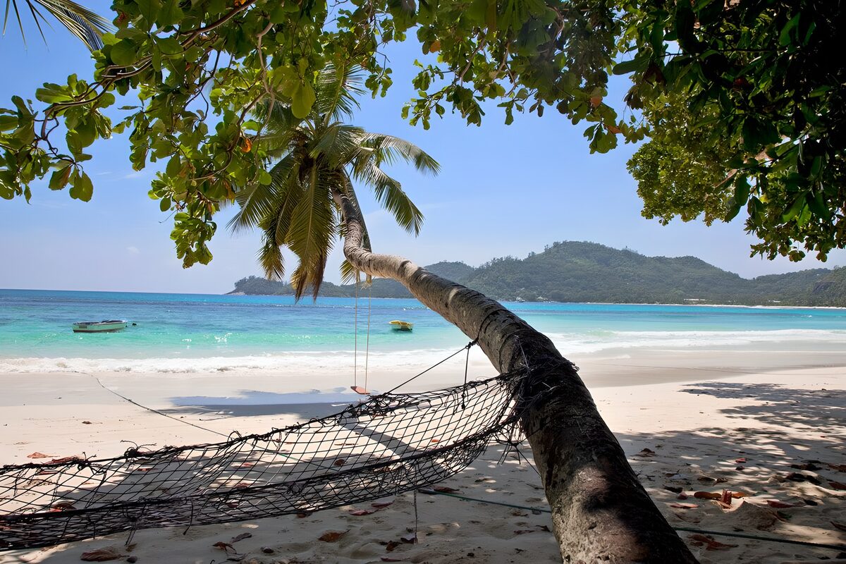 PDGIT8134986: Amaca e palme sulla spiaggia tropicale