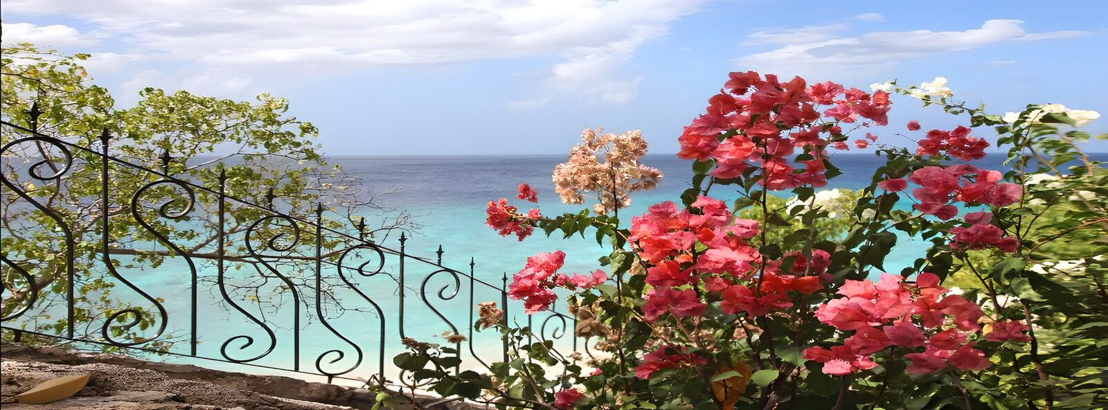 PDGIT6885788: Bougainvillea e mare turchese al sole
