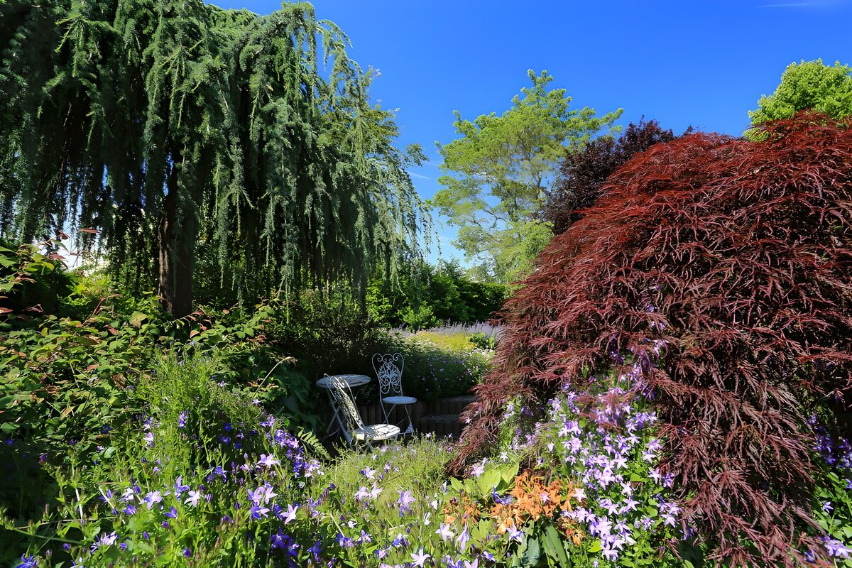 PDGIT7296848: Giardino fiorito con salottino all'ombra