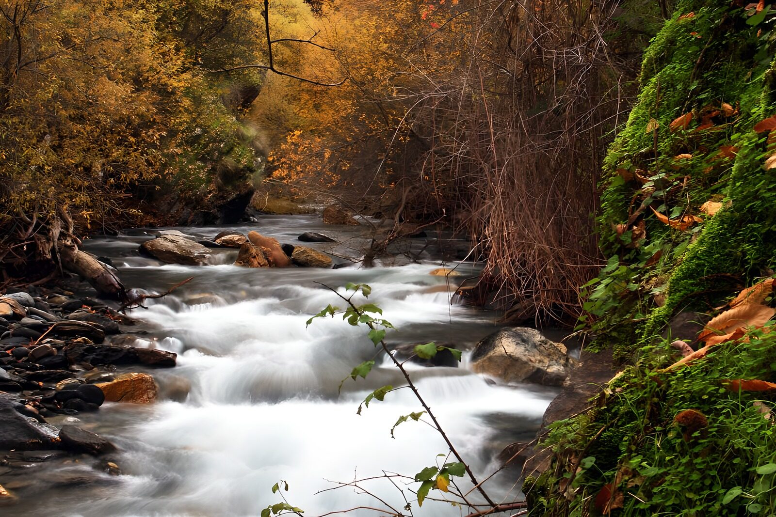 PDGIT2092129: Ruscello d'autunno tra rocce e muschio