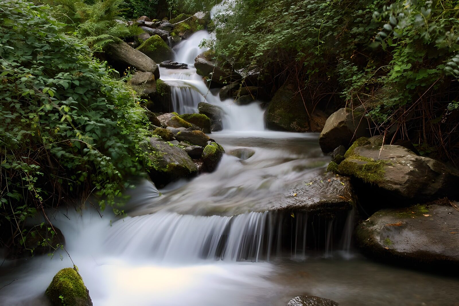 PDGIT9743995: Cascate tra rocce e felci nel bosco
