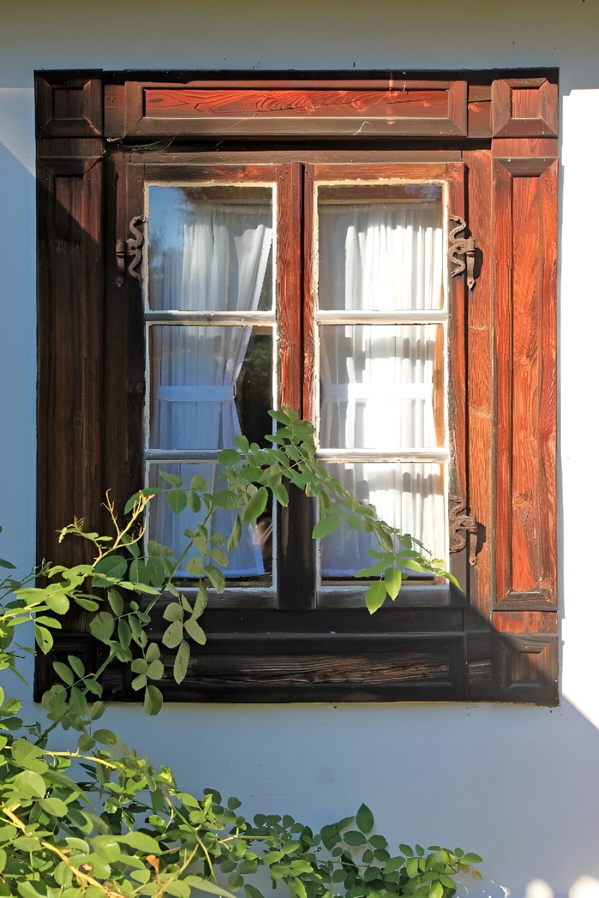 PDGIT6328433: Finestra in legno tra sole e foglie