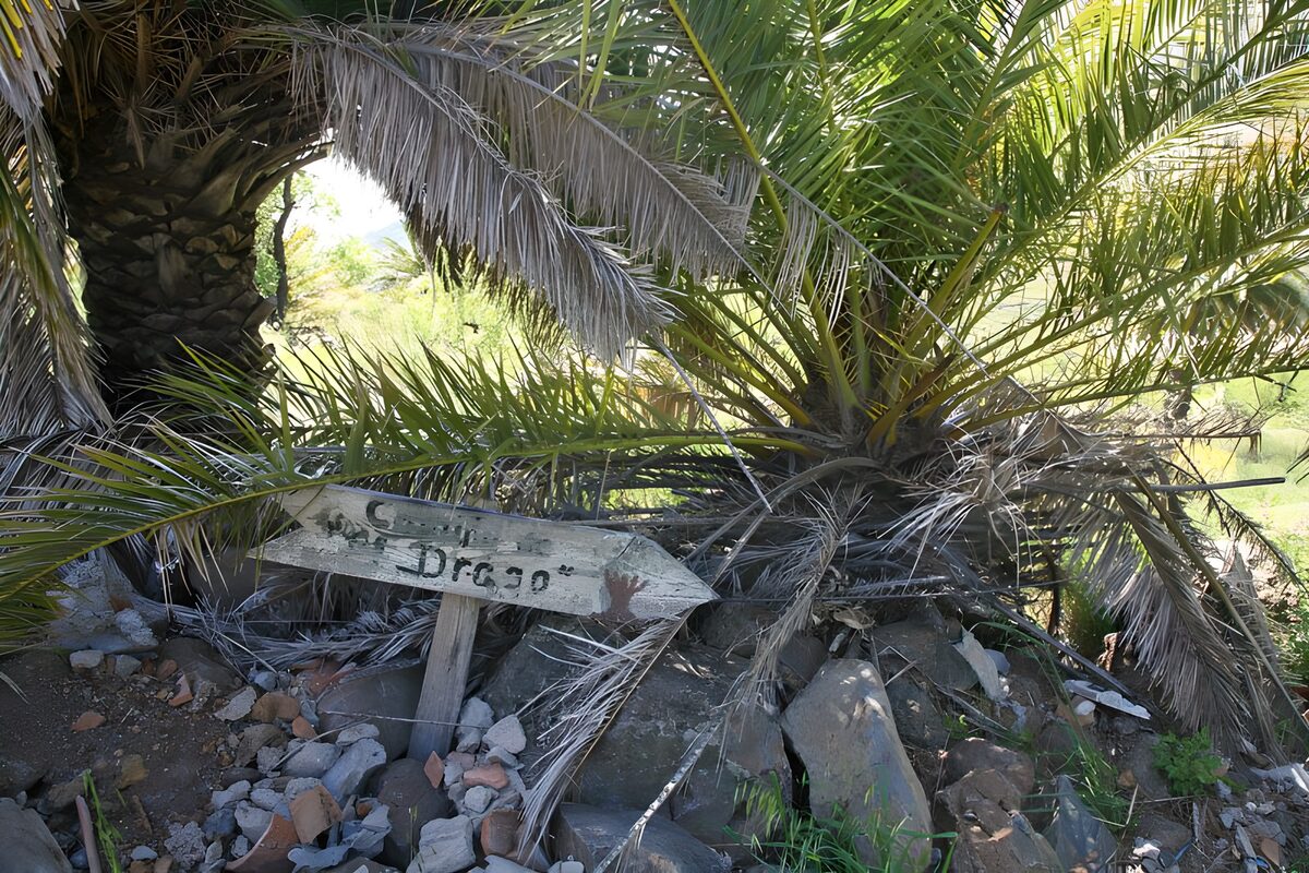 PDGIT6824538: Palme e freccia di legno tra le rocce
