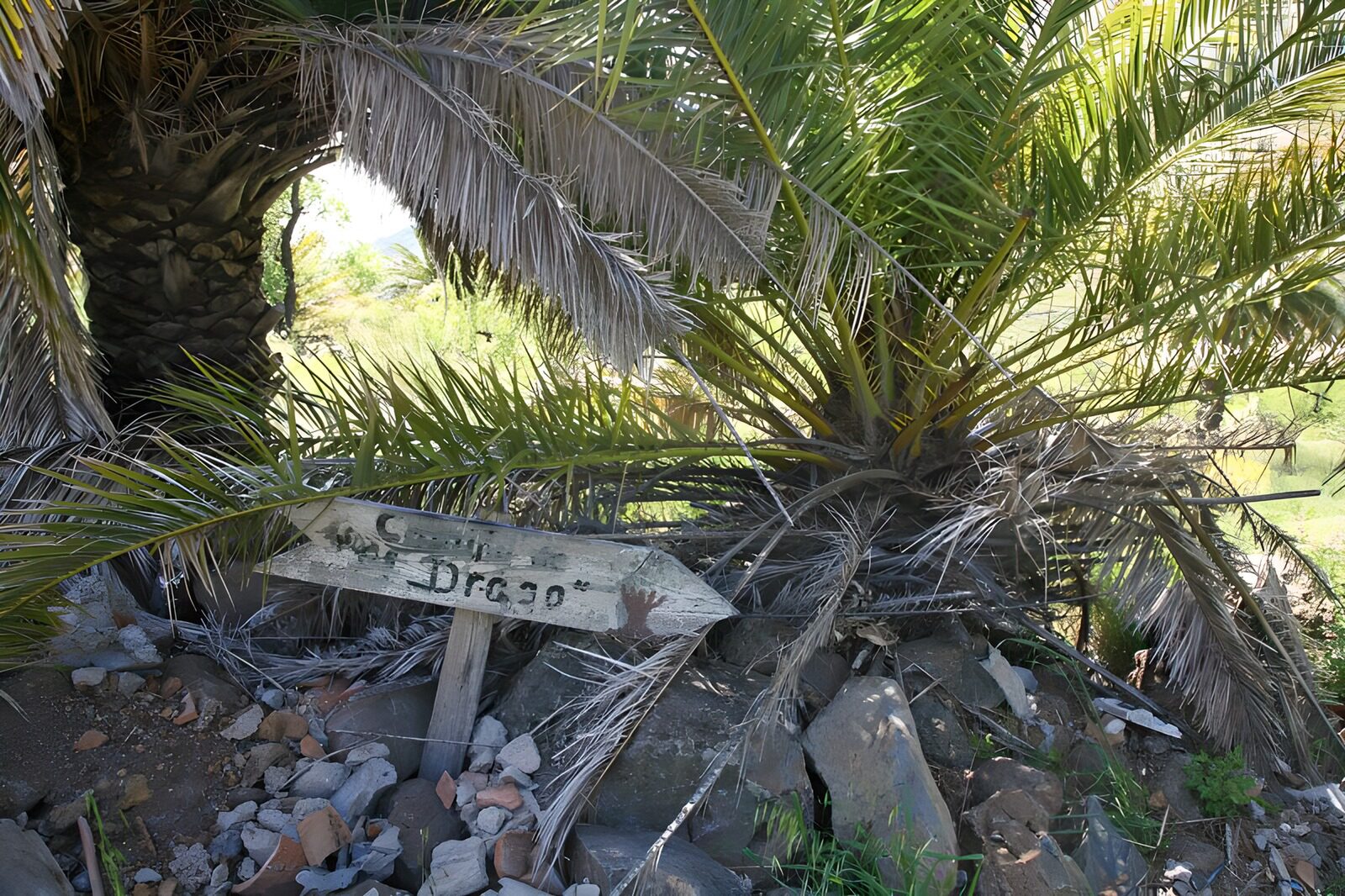 PDGIT6824538: Palme e freccia di legno tra le rocce