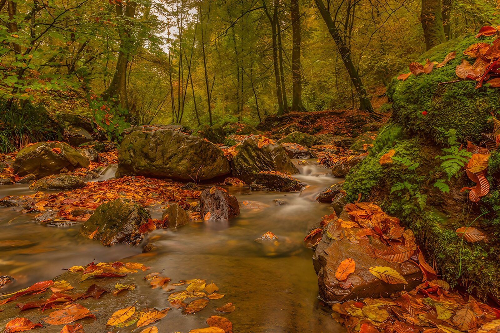 PDGIT4317254: Acqua di seta tra le rocce d’autunno