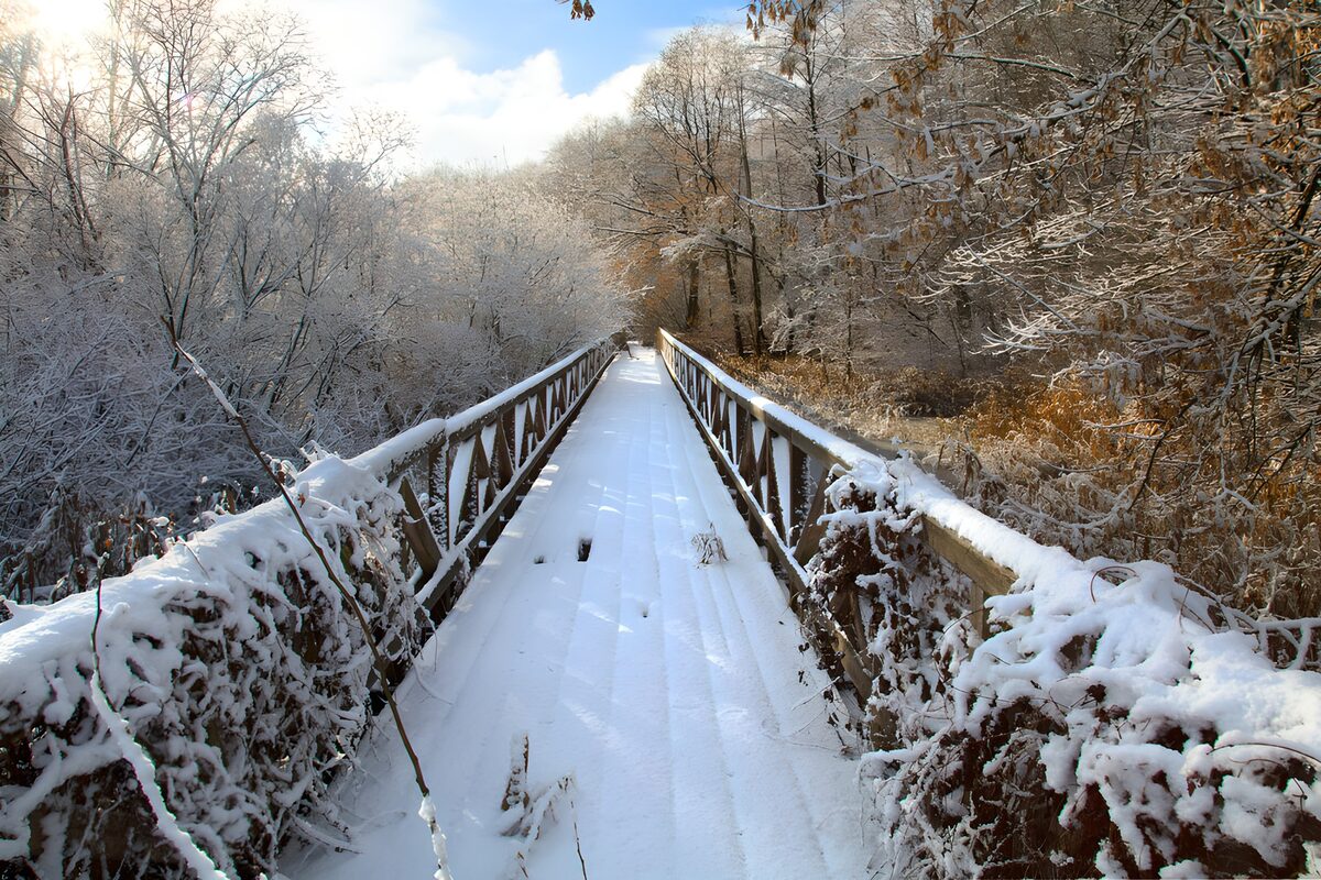 PDGIT7538580: Ponte di legno nel bosco innevato
