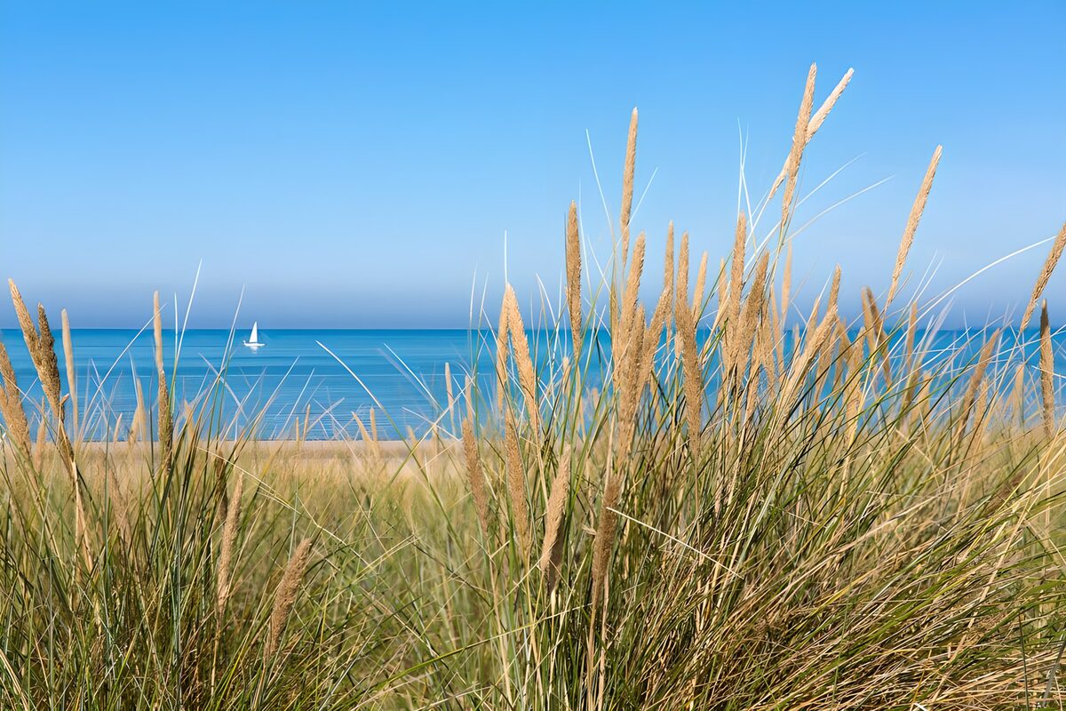 Erbe delle dune e mare turchese
