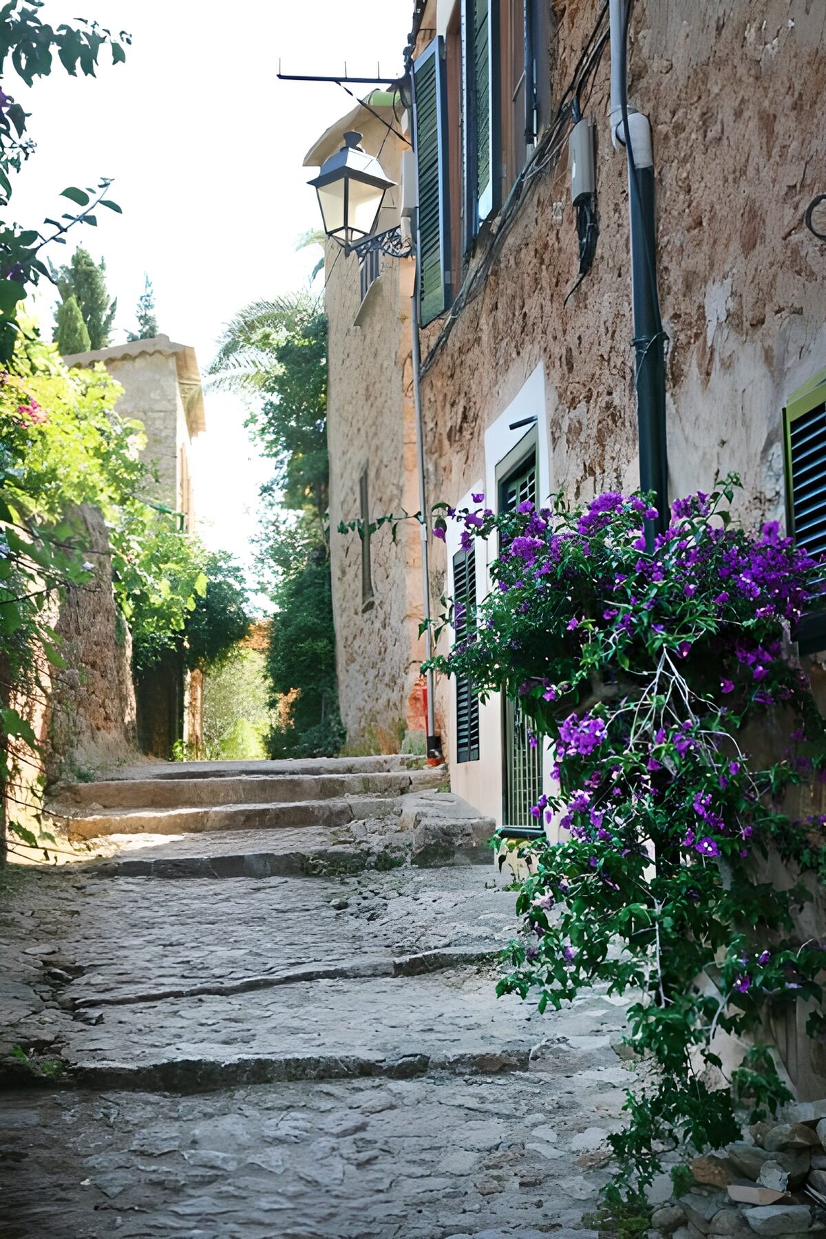 PDGIT1789521: Vicolo a gradini tra pietra e fiori viola
