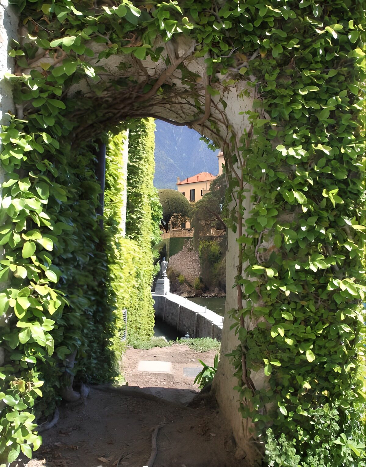PDGIT7927662: Arco di pietra tra rampicanti e ombra