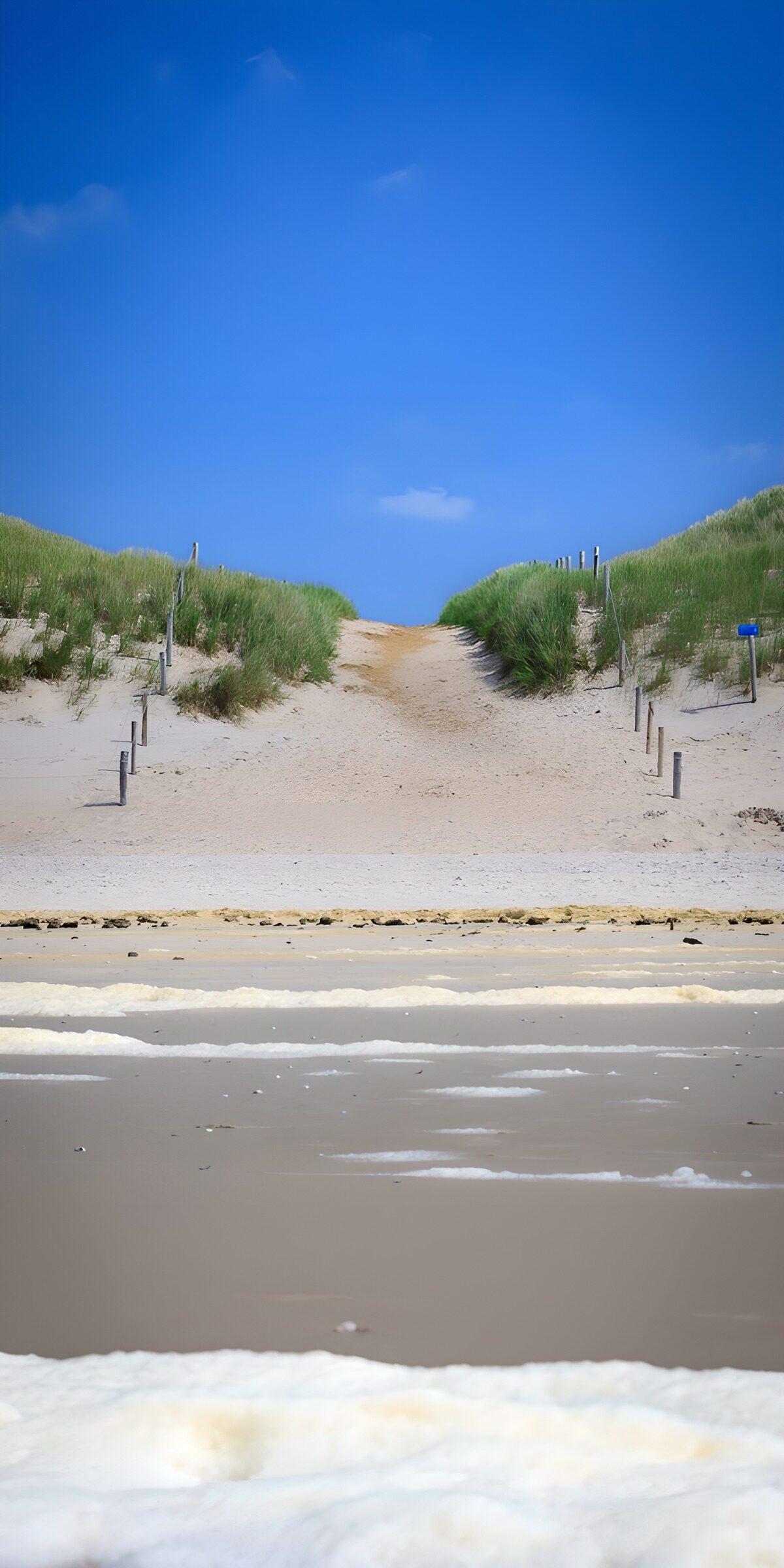 PDGIT3282128: Sentiero tra le dune sotto il cielo blu