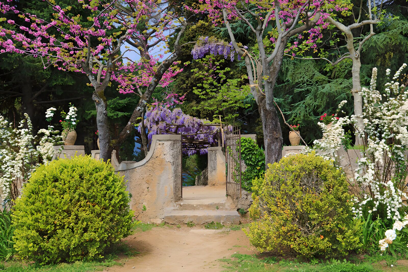 PDGIT1587967: Cancello tra fiori rosa e viola