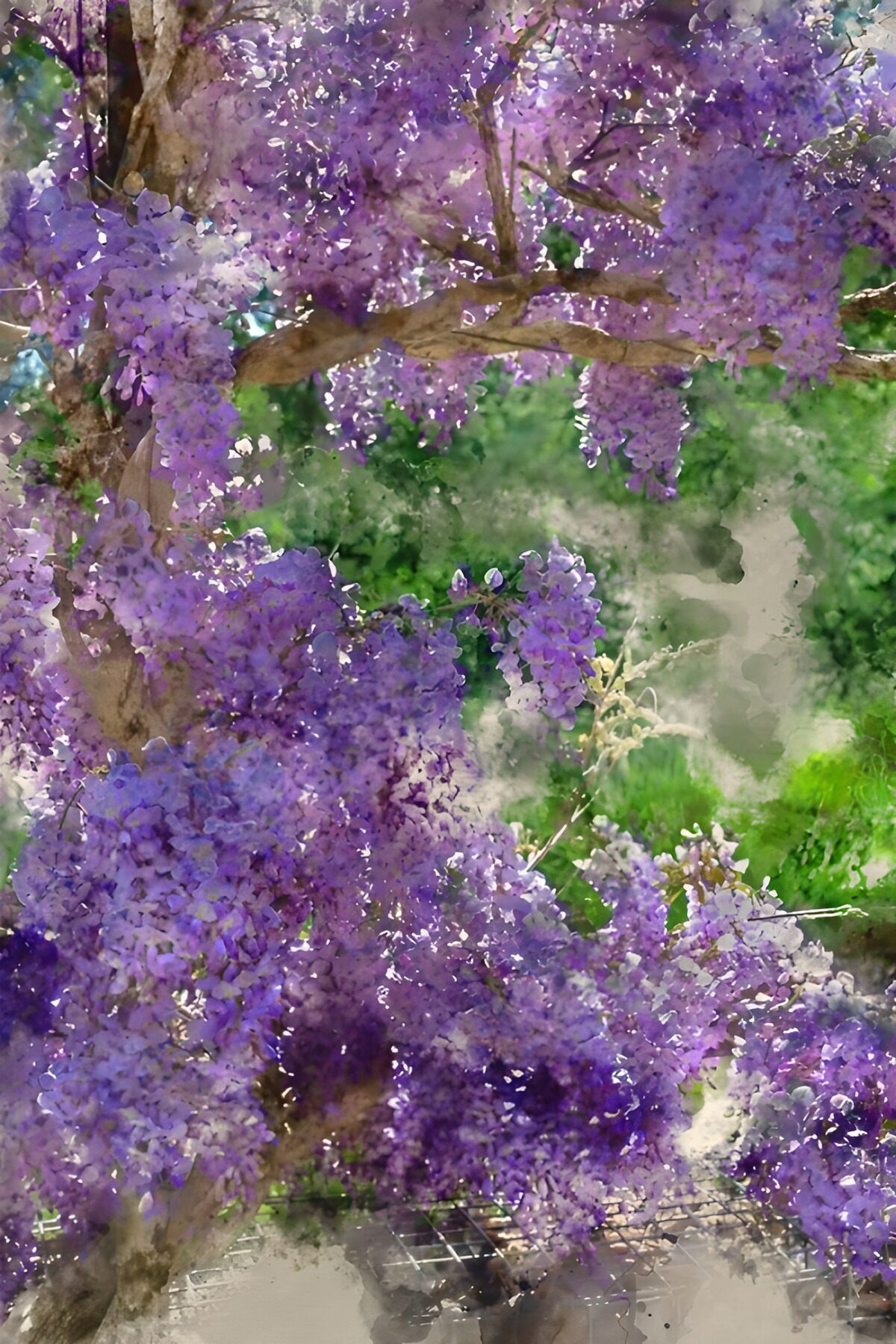 PDGIT5141128: Glicine in fiore ad acquerello