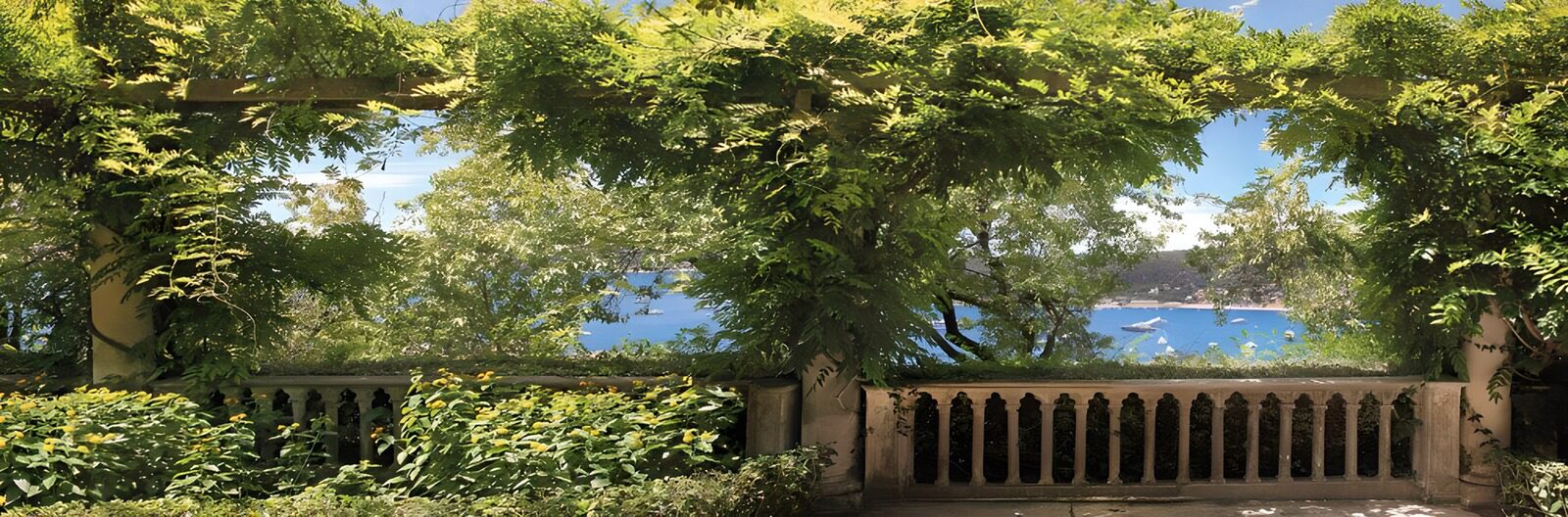 PDGIT7075060: Pergola rigogliosa con vista sulla baia
