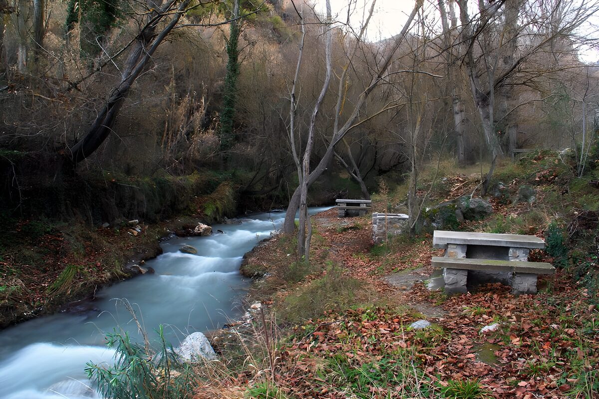 PDGIT7601091: Ruscello e tavoli di pietra nel bosco