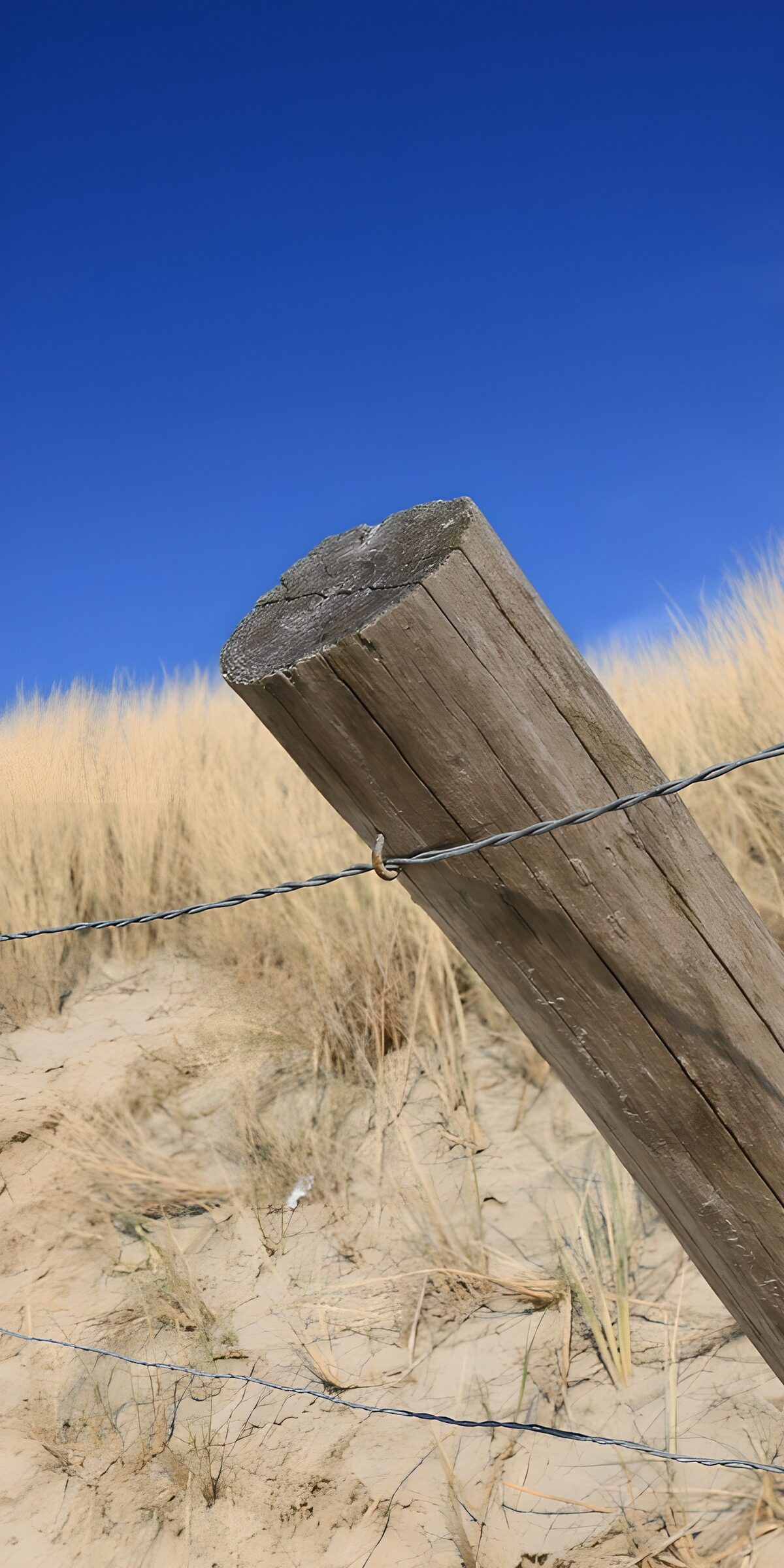PDGIT4093870: Palo di legno tra dune e cielo blu