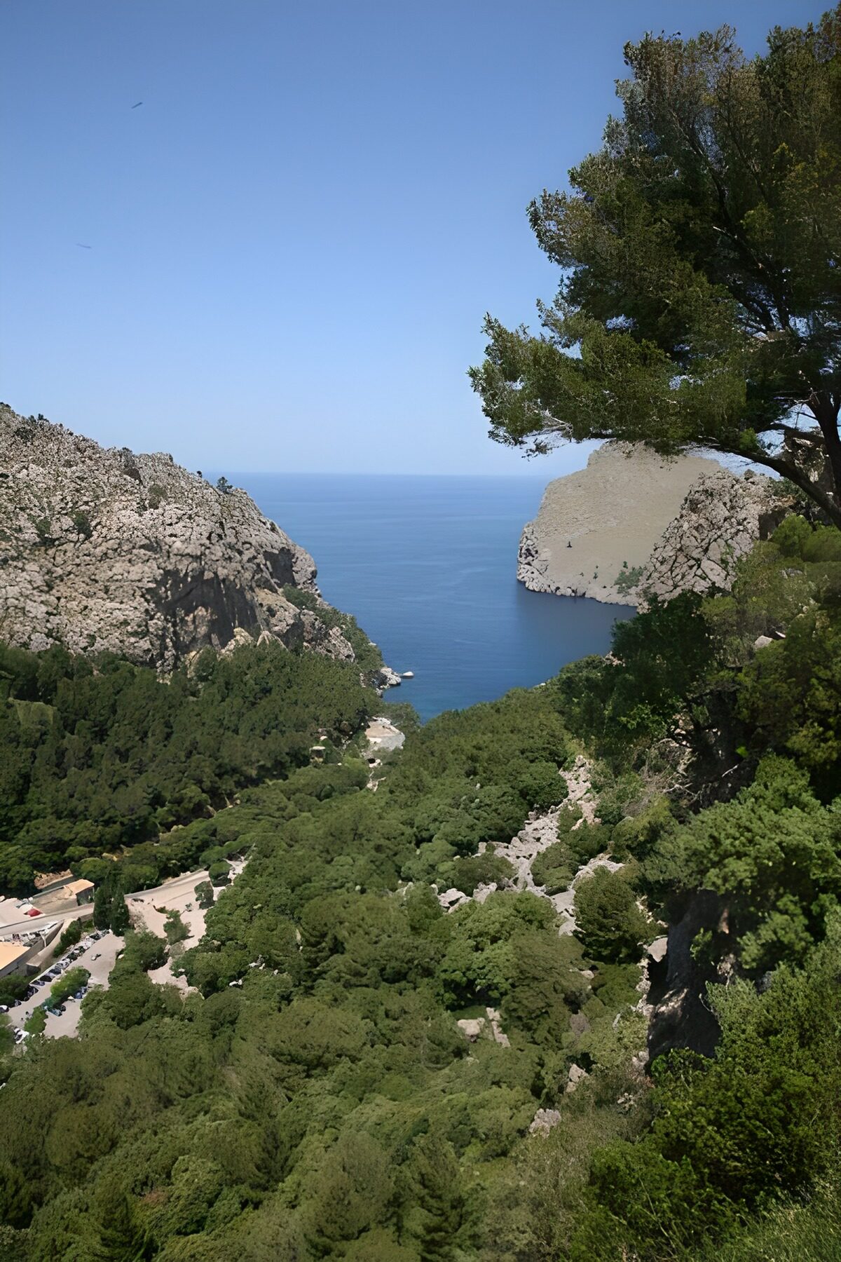 PDGIT5504731: Baia rocciosa tra il verde e il blu