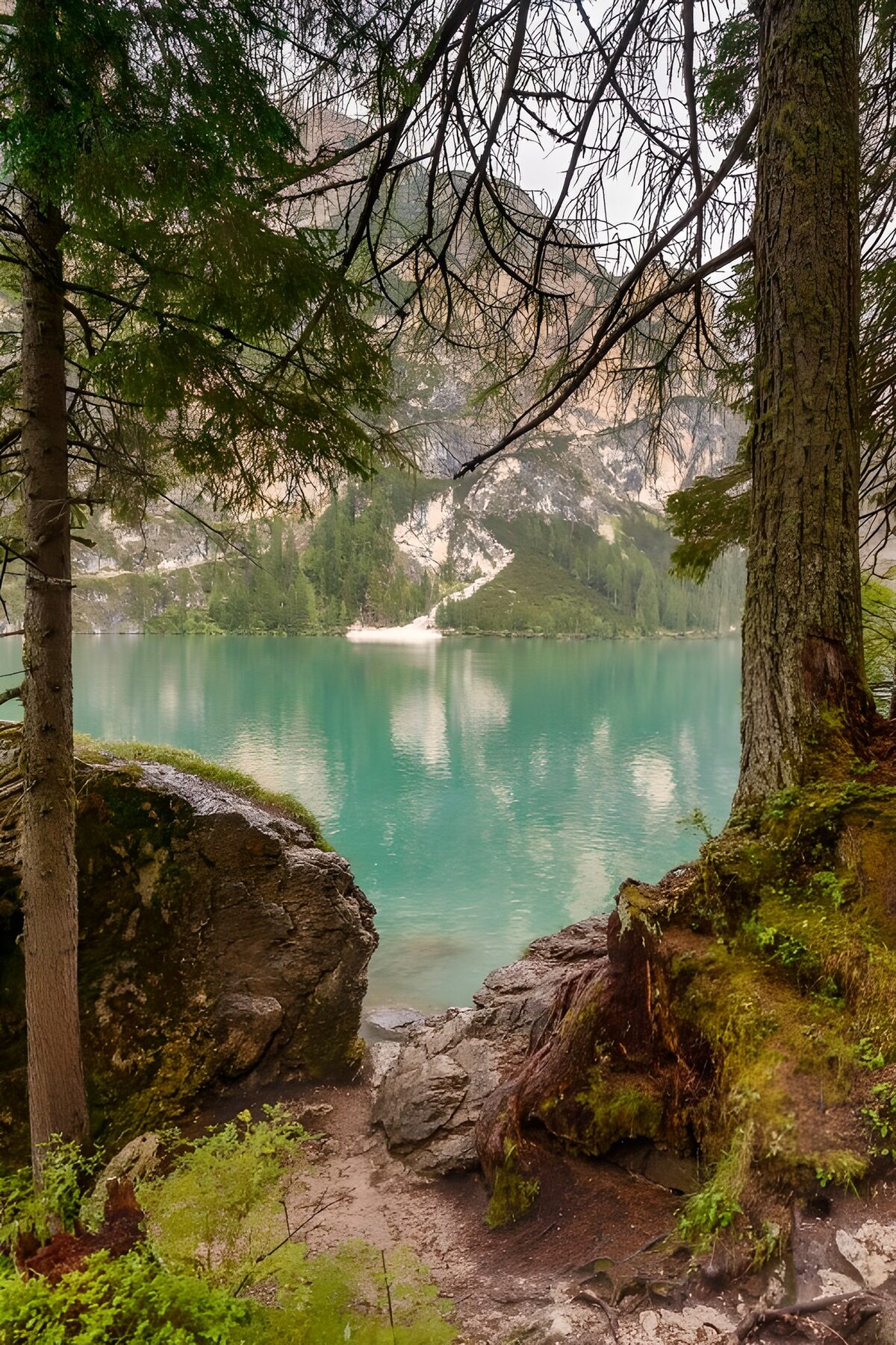 PDGIT6578942: Lago turchese nella quiete del bosco