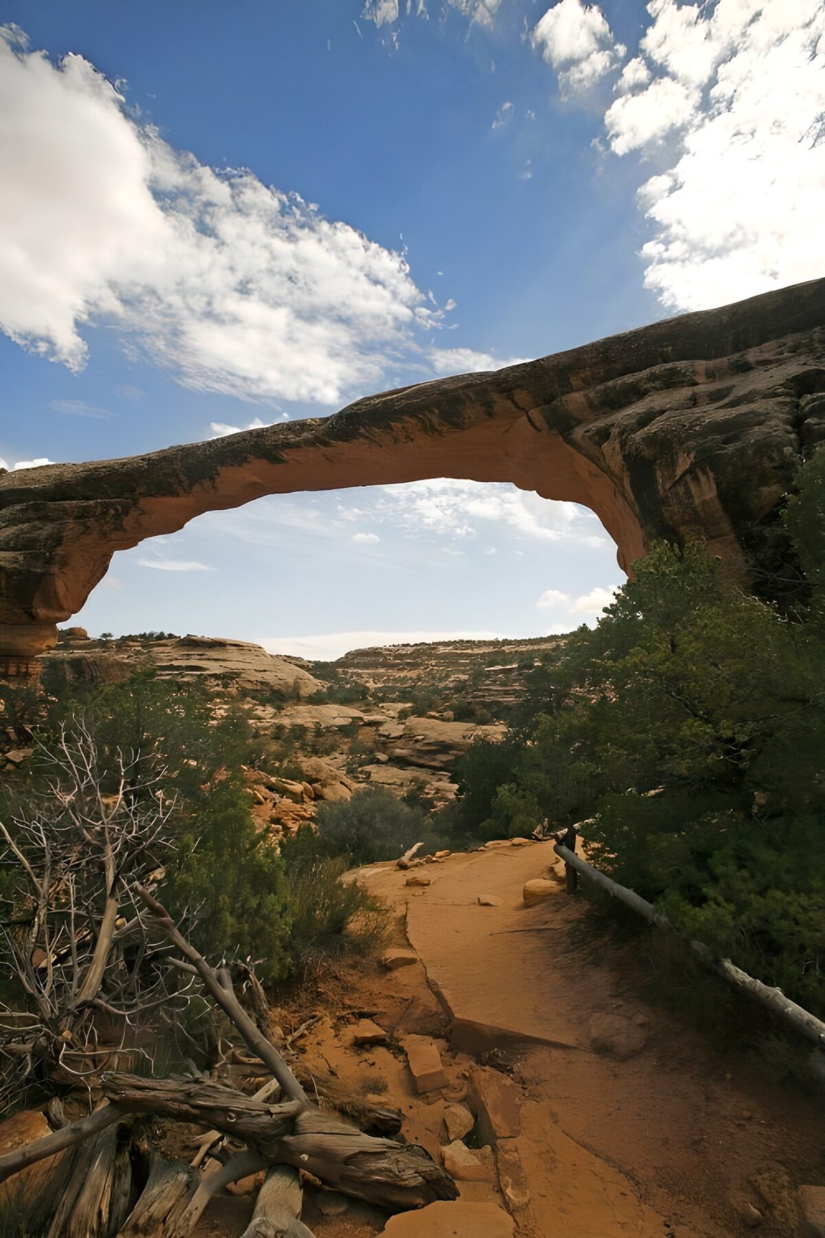 PDGIT7640012: Arco di roccia tra sabbia e cielo