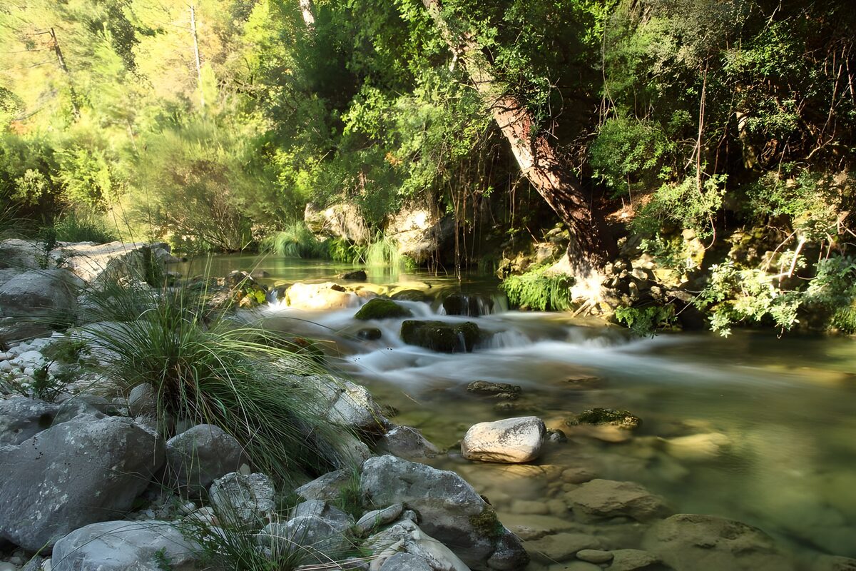 PDGIT6295943: Ruscello e rocce nella quiete del bosco