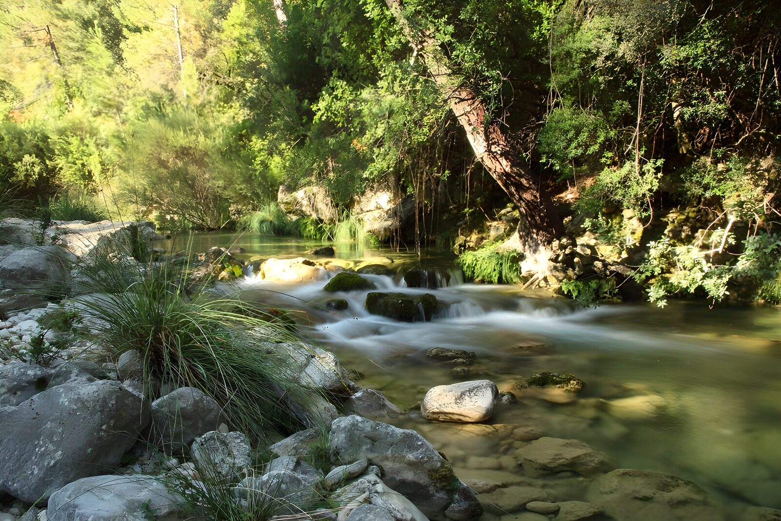 PDGIT6295943: Ruscello e rocce nella quiete del bosco