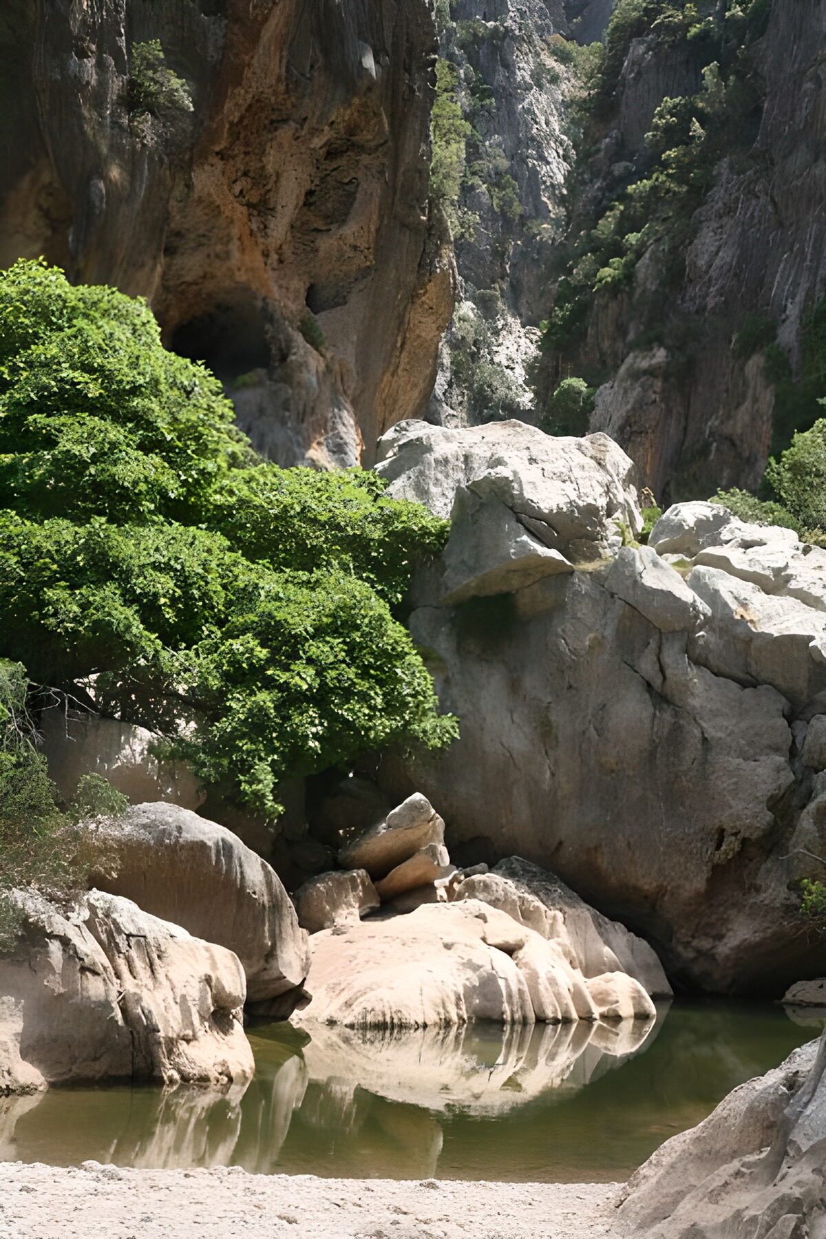 PDGIT4626313: Pozza verde tra le rocce della gola