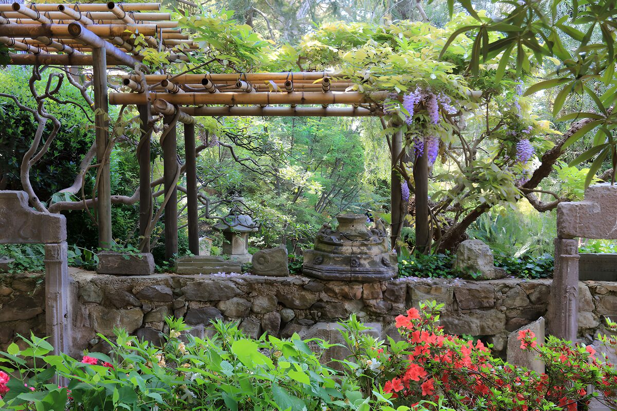 PDGIT8369117: Pergola di bambù e glicine in penombra