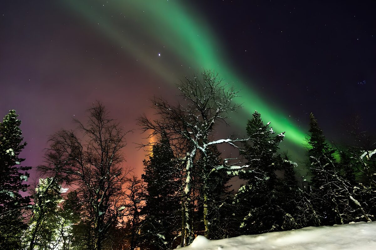 Aurora verde sul bosco innevato