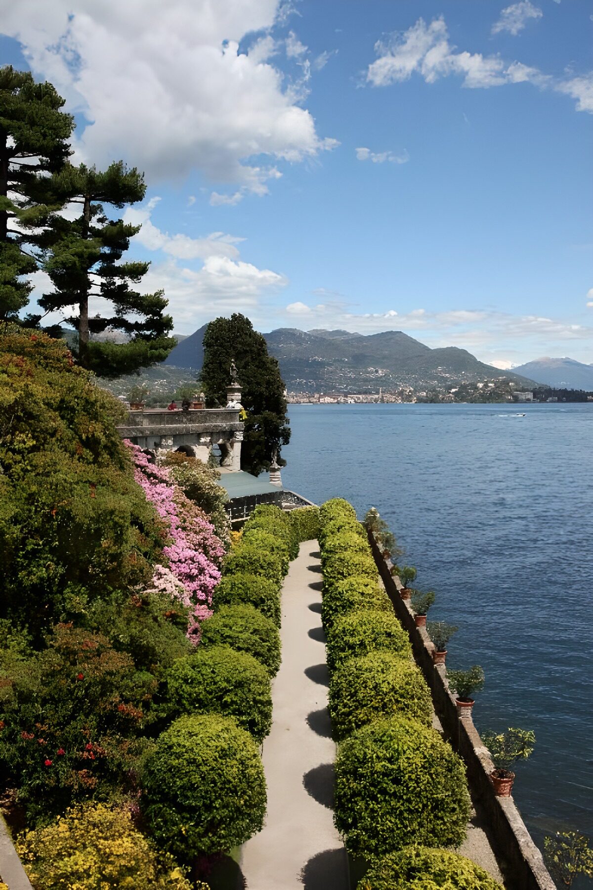 PDGIT1409878: Giardino sul lago con siepi e fiori rosa