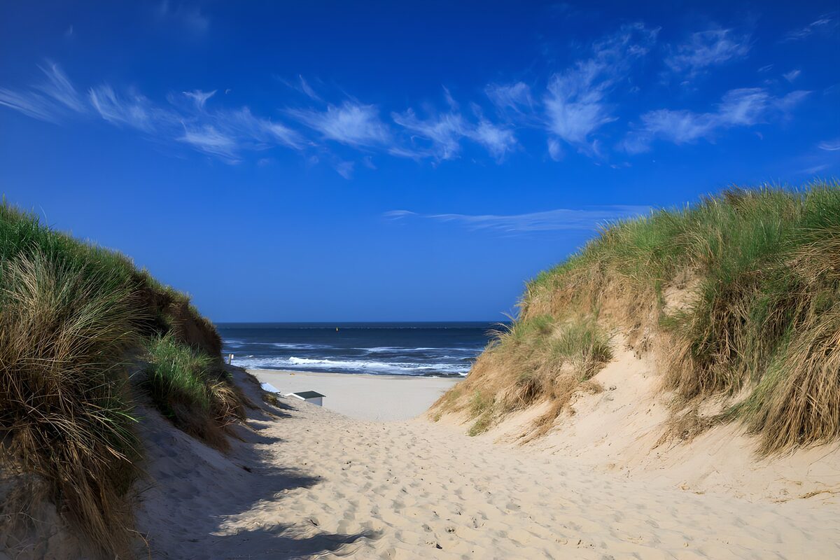 PDGIT8746539: Tra le dune, una promessa di mare