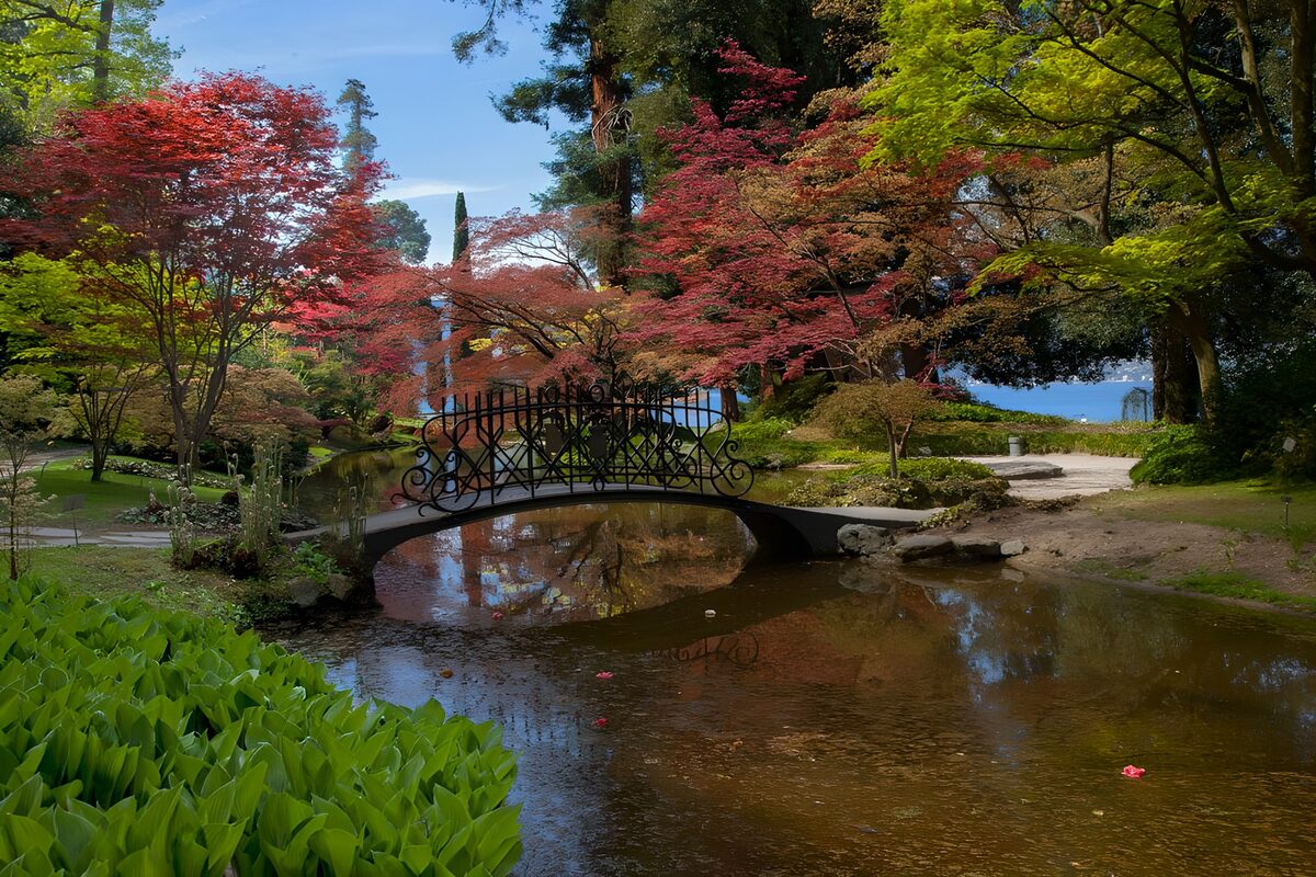Ponte ad arco sullo stagno tra rosso e verde