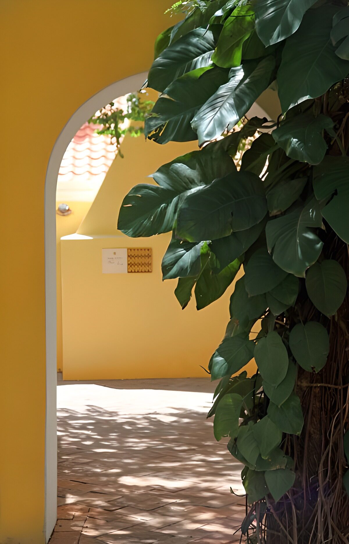 Arco giallo tra grandi foglie verdi